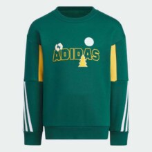 adidas 春秋季男中童舒适保暖耐磨运动休闲圆领卫衣77元（超V会员价，有首单礼金，政府补贴8折券，价格更低）