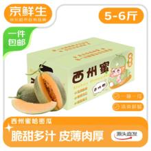京鲜生 西州蜜哈密瓜 1-2粒 净重5-6斤19.99元