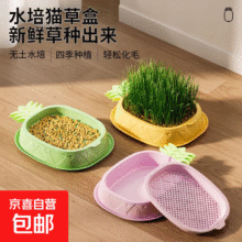猫草盆栽种籽育苗盘 菠萝猫草盒 送5包种子（可回购种子）青草绿1.9元（需领券）