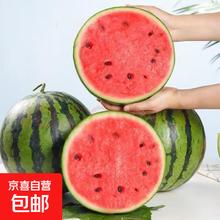 正宗黑籽麒麟西瓜应季新鲜水果新鲜现摘沙瓤薄皮麒麟瓜 麒麟西瓜 7-8斤 1枚装券后12.01元