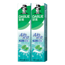 DARLIE好来(原黑人)清新双效牙膏去口气去渍固齿200g*2支13.9元（返6元京东超市卡后）