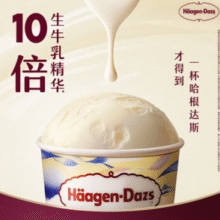 Haagen-Dazs 哈根达斯 夏威夷果仁味冰淇淋  81g（100ML）￥12.97