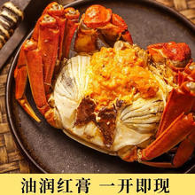 苏州精品大闸蟹2.3-2.5两母蟹 8只115.15元