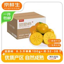 京鲜生 阳丰脆甜柿 净重8.5-9斤单果100g-130g 中秋礼品 水果源头直发23.9元
