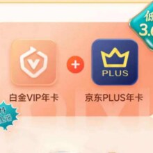 爱奇艺白金VIP会员年卡+京东PLUS年卡 支持电视端228元（需领券）
