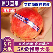 庾丰 四川会理突尼斯软籽石榴 5斤甄选（净果4.5斤) 单果250g+ 源头直采 品质优选8.9元（需买2件，需用券）