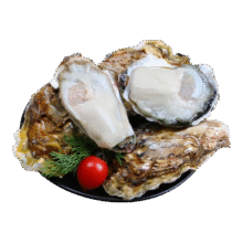 爆款 乳山生蚝鲜活海蛎子特大海鲜牡蛎5斤整箱生鲜 4斤3XL号【10-16个】24.99元（需领券）