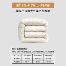 富安娜 奥克兰抗菌大豆羊毛冬厚被 双人冬季大豆被芯 7.6斤 230*229cm