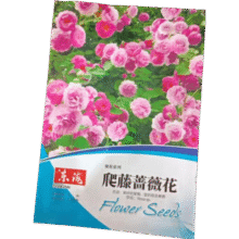 混色蔷薇花 种子 8个品种 200粒 四季开花1元