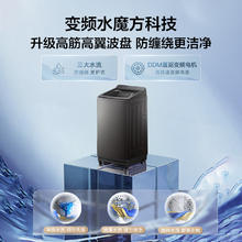 小天鹅 波轮洗衣机全自动 水魔方防缠绕后控触屏护腰 直驱变频 除菌 10公斤