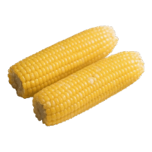 东北新鲜黄糯玉米180g-220g 5根装3.99元包邮