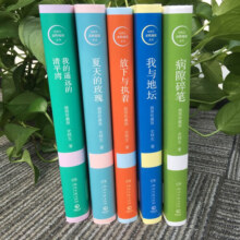 史铁生系列5册任选 我与地坛 病隙碎笔 夏天的玫瑰 放下与执着 我的遥远的清平湾 散文随笔 博集天卷 史铁生作品五册