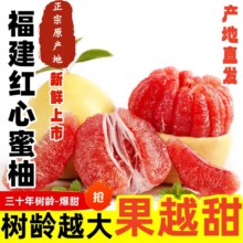 天降礼金：福建红心柚子  红心蜜柚带箱4.5-5斤10.97元
