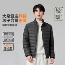 京东PLUS：雪中飞 2024男式立领秋羽绒百搭轻薄 宝石黑|8086 180/100A券后89元