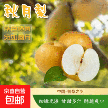 正宗新鲜秋月梨爆甜多汁当季鲜果薄皮肉嫩新航线 3斤箱装（含箱重）卷后历史最低价5元！