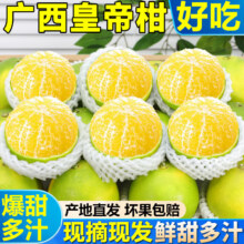 粤迎广西皇帝柑纯甜水果薄皮蜜桔橘子沃贡柑贡桔爆汁好吃不贵新鲜 5斤甄选果【爆甜多汁】净4.5斤