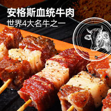 大希地 安格斯牛肉串240g*1（多种任选）