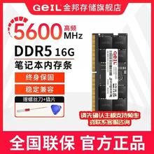 金邦 GeIL 千禧16G5600 DDR5笔记本内存条游戏电竞内存条全新原装272元