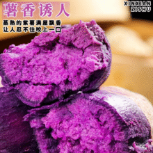 天降福利：新鲜紫罗兰紫薯 4.5斤  中果
