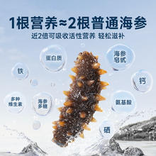 久年 大连海参即食海参 超值500g 11-15头