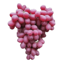 正宗克伦生红提薄皮脆甜多汁新鲜应季水果包邮木 1斤装（0.9）2.9元(需领券)