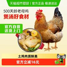 淘金币可用：温氏 供港老母鸡 1.2kg