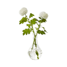 现代透明小口径ins风玻璃花瓶客厅餐厅民宿桌面插干花瓶装饰摆件 【1支装】ins风小口花瓶1元