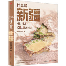 《什么是新疆》