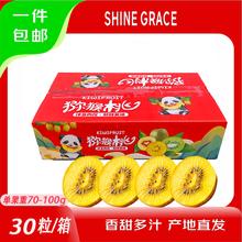 今日必买：SHINE GRACE 四川黄心猕猴桃礼盒装 30粒装 单果70-100g