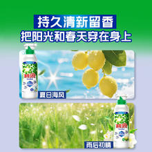 ARIEL 碧浪 洗衣原液800g，赠家政2h