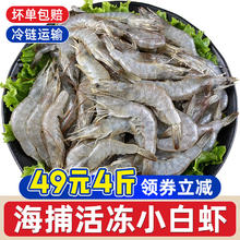 今日必买：一虾一世界 新鲜海捕大虾 4斤