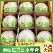 今日必买：好鲜市集 泰国进口椰青新鲜椰子香水椰青 9粒 整箱包邮