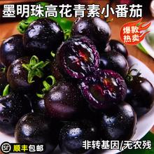 今日必买：番茄 幸蕴 山东省 黑番茄 750g