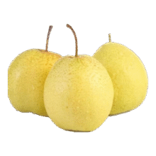 京喜加赵县雪花梨河北雪花梨肃宁雪花梨 带箱2斤净重1.6-1.8斤3.99元(需领券)