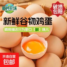 京喜 农家 国产 散养鸡蛋 50g±5g 10枚