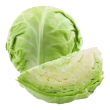 再降价：高原夏菜新鲜包菜卷心菜绿甘南菜甘蓝圆白菜时令蔬菜健康营养早餐 1.5斤-2斤高端标准菜0.99元(需领券)