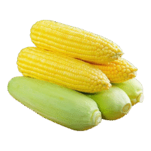 云南高原新鲜水果玉米 300g/棒 1.8-2斤含箱1.09元(需拼团)