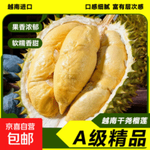 A级品质越南进口干尧榴莲【果核大】新鲜应当季水果整箱批发 干尧榴莲3-4斤（1个装 包四房）