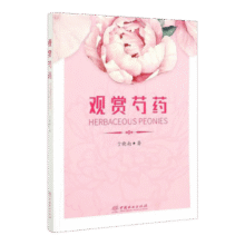观赏芍药