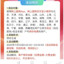网上国网预存500立减10