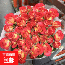 【随机玫瑰】30枝特价云南鲜花七夕节礼物鲜切花水养插花京东快递 随机玫瑰30枝