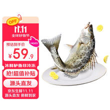 限移动端、今日必买：鲜京采 白蕉海鲈鱼 500g*3条