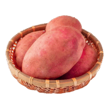 红皮土豆高原黄心红皮土豆 2斤 单果1-3两0.9元(需领券)