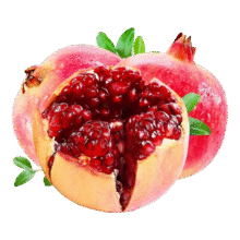 四川会理红石榴新鲜当季水果爆汁饱满多汁软籽石榴-巴蜀 带箱2斤单果250g+10元