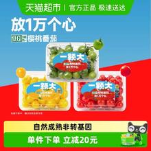 88VIP会员：一颗大 多彩宝石樱桃番茄 458g*2袋 组合装（红1绿1）共916g