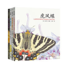 《馆野鸿科学》绘本全4册
