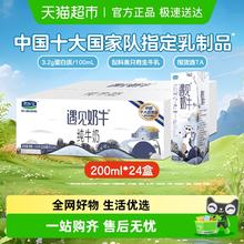 君乐宝 遇见奶牛 纯牛奶24盒