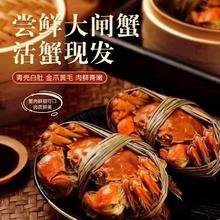 今日必买：江问鱼 鲜活大闸蟹螃蟹 全母2.3-2.6两 10只装 足斤足两