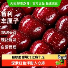 88VIP会员、今日必买：京运达 智利 黑珍珠车厘子 4J 5斤 礼盒装81.61元