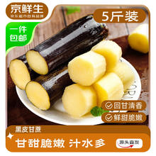 今日必买：京鲜生 广西黑皮甘蔗 5斤装